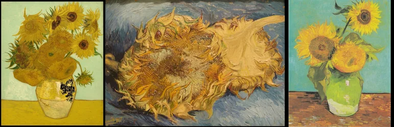 Nature morte avec 12 tournesols